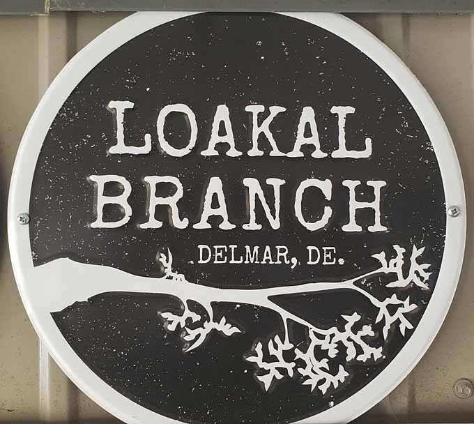 Loakal Branch